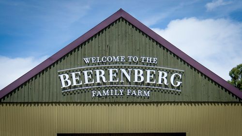 Beerenberg family strawberry farm