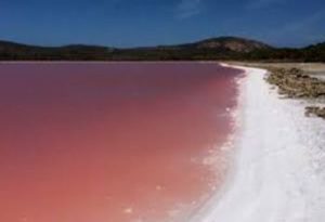 南澳粉紅湖